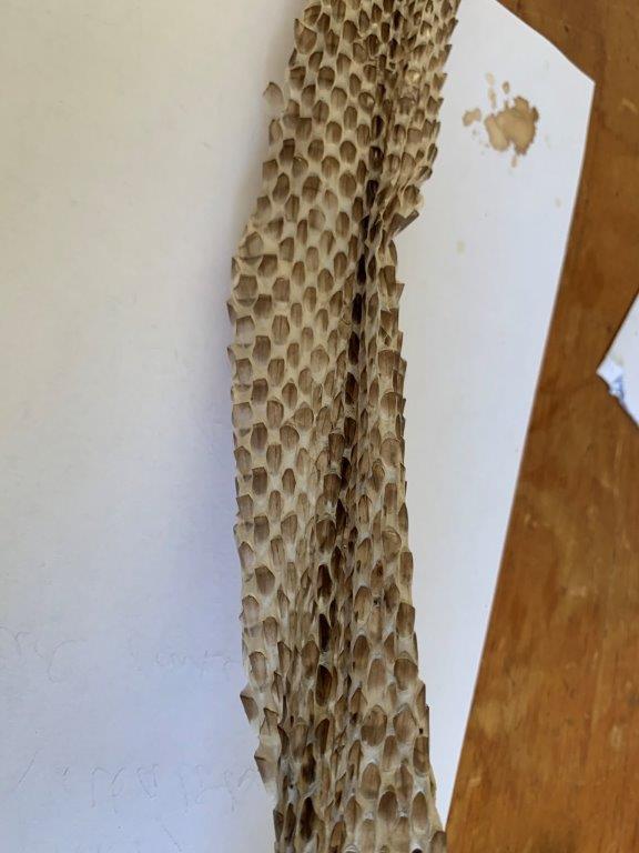 Providence snake skin